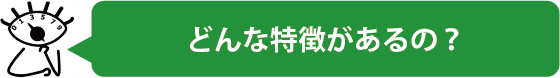どんな特徴があるの？