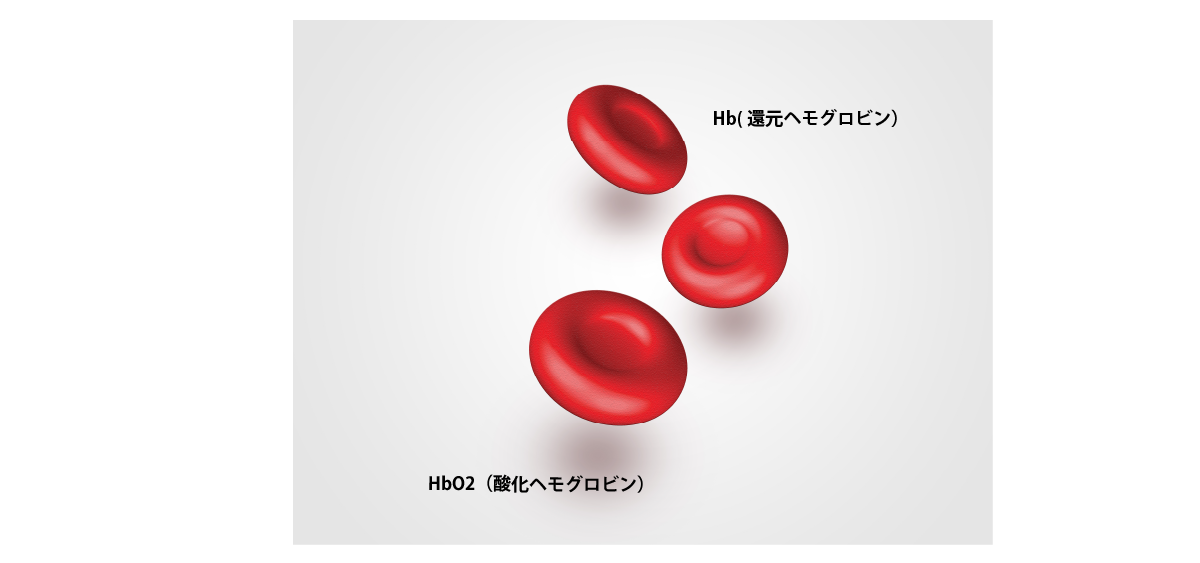 酸化ヘモグロビン(HbO2)