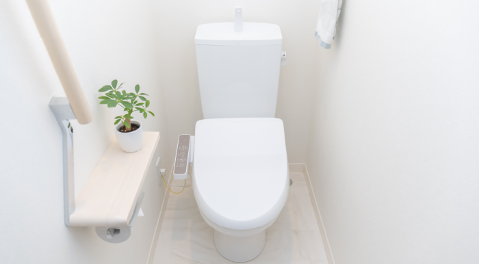 水回り(トイレの水たまり部、水洗タンクなど)