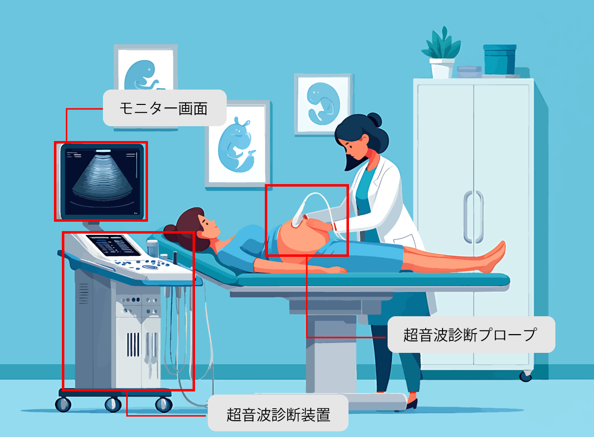 超音波検査イメージ