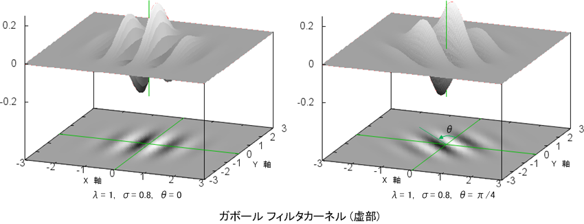 fie_gabor_im.png