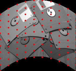 fie_geotrans_estimate_lwm_deformed_keypoints.png
