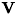 ${\bf V}$