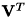 ${\bf V}^T$