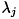 $\lambda_j$