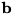 $\bf{b}$