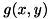 $g(x, y)$
