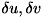 $\delta u, \delta v$